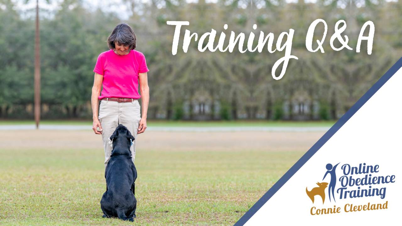 Training Q&A - Make Heeling Fun & Improving Fronts