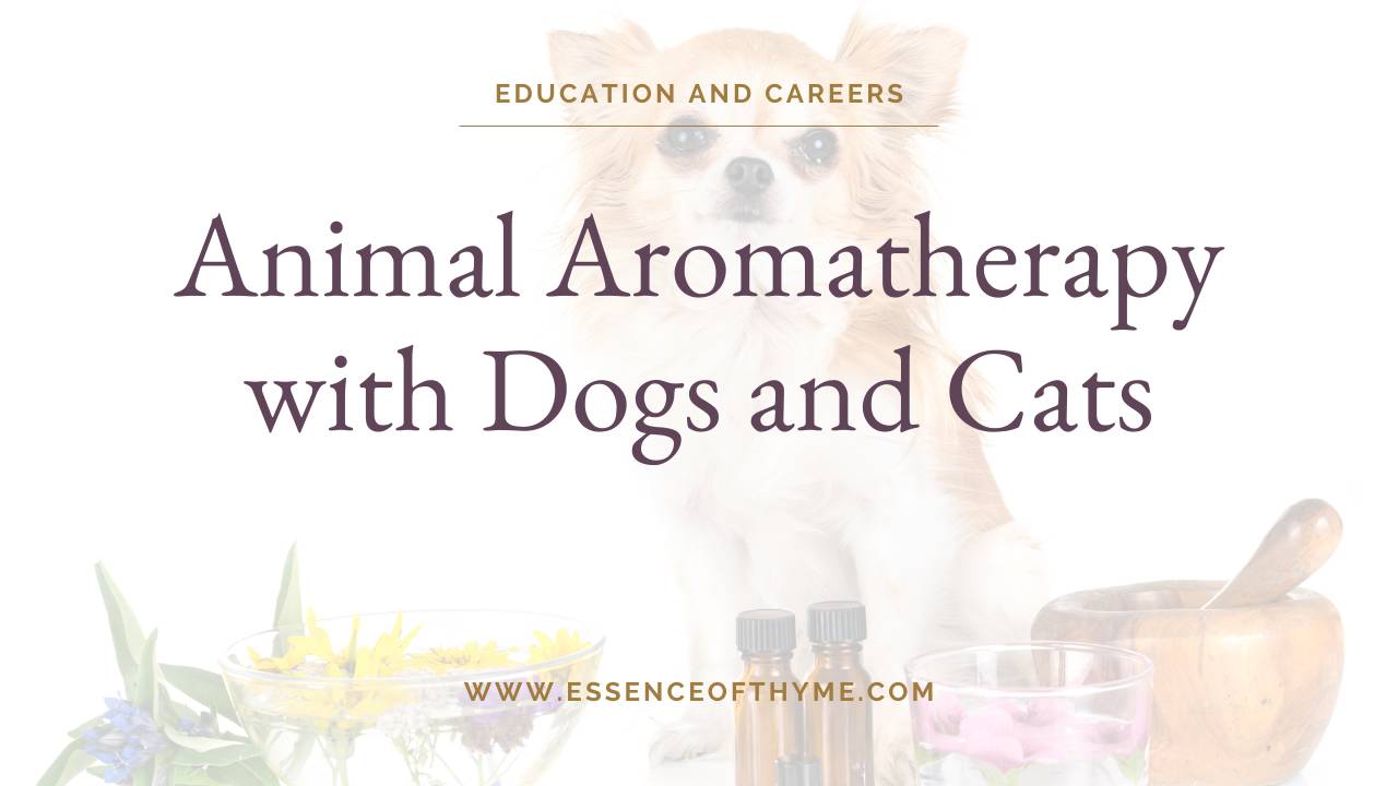 Animal Aromatherapy with Dogs and Cats