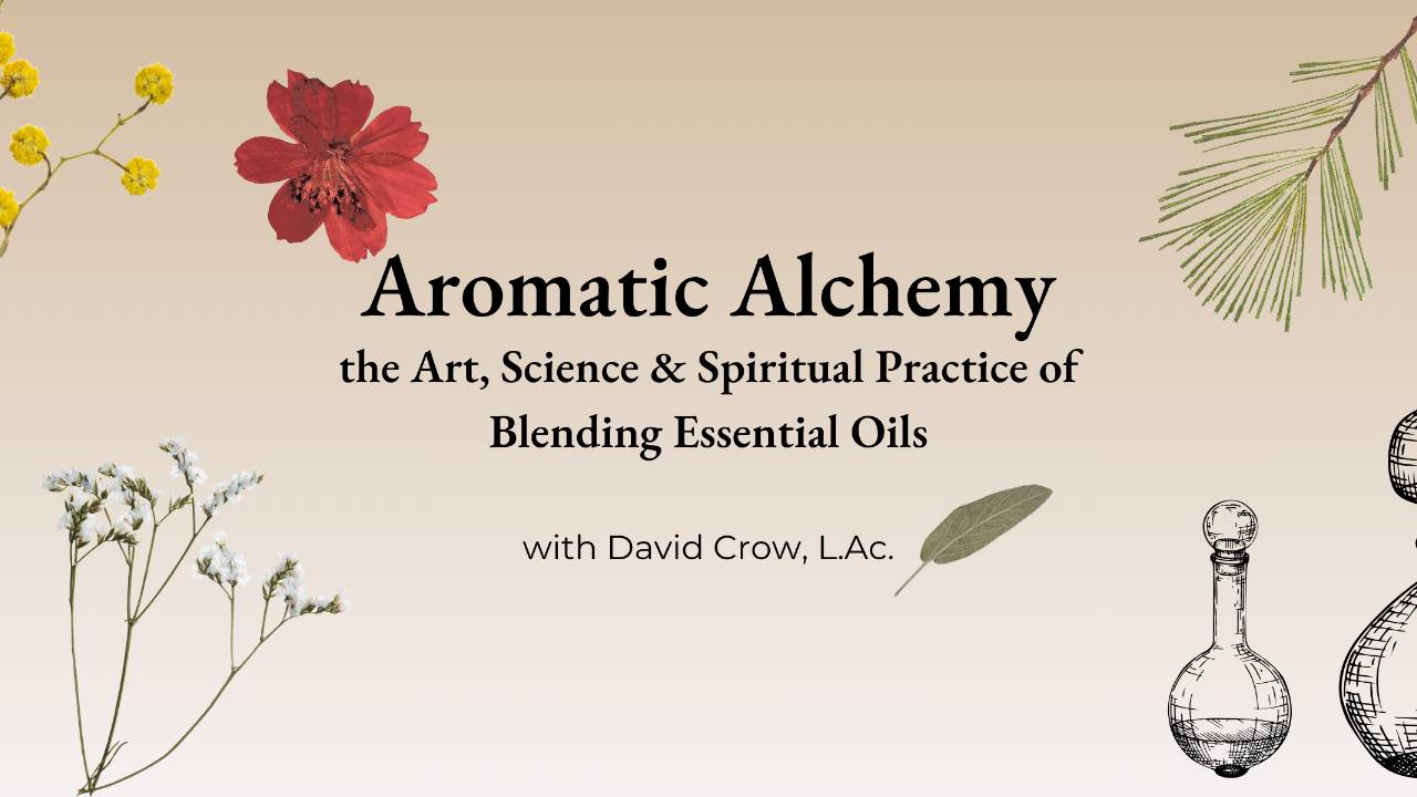 Aromatic Alchemy: Blending Essential Oils