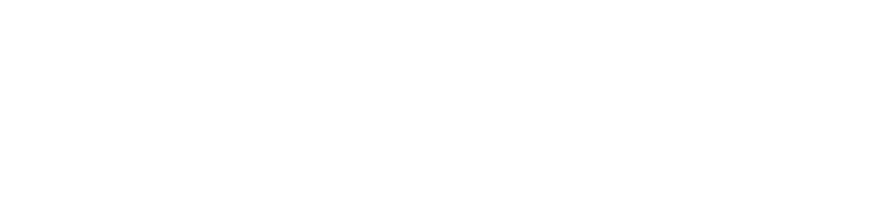 US Army