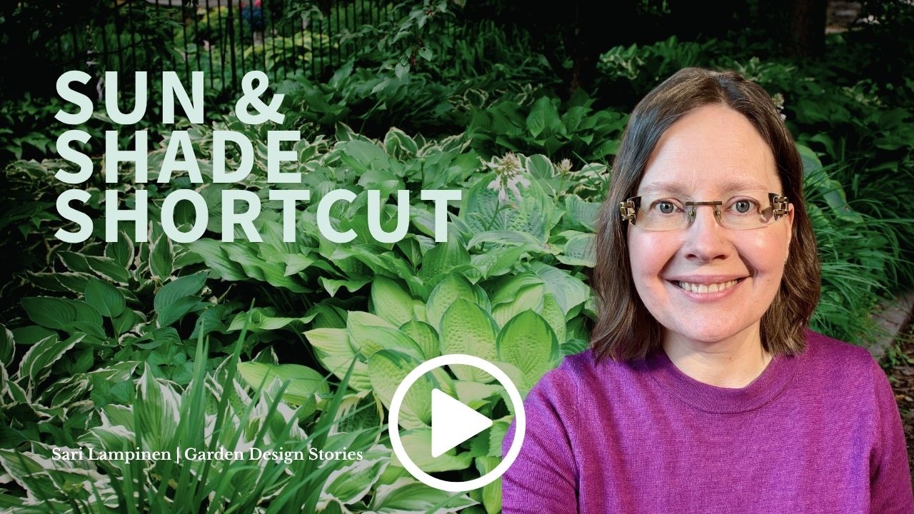 How to Find Sun and Shade in Your Garden Before Choosing Plants
