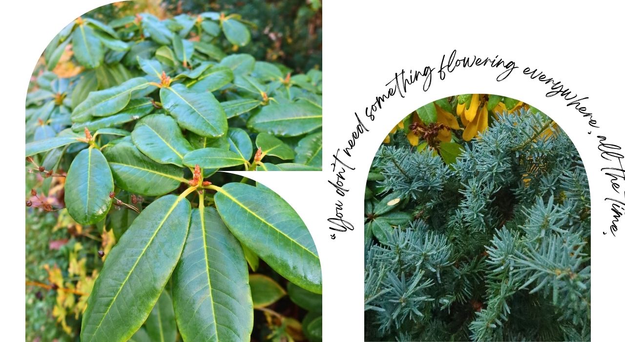 You don't need something flowering everywhere, all the time. You don't need something flowering everywhere, all the time.