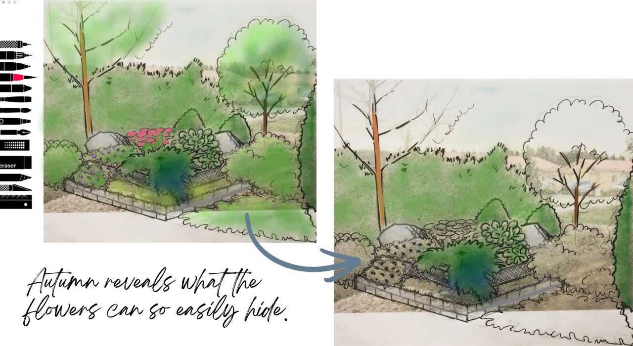 Autumn reveals what flowers can hide - drawing Autumn reveals what flowers can hide - drawing