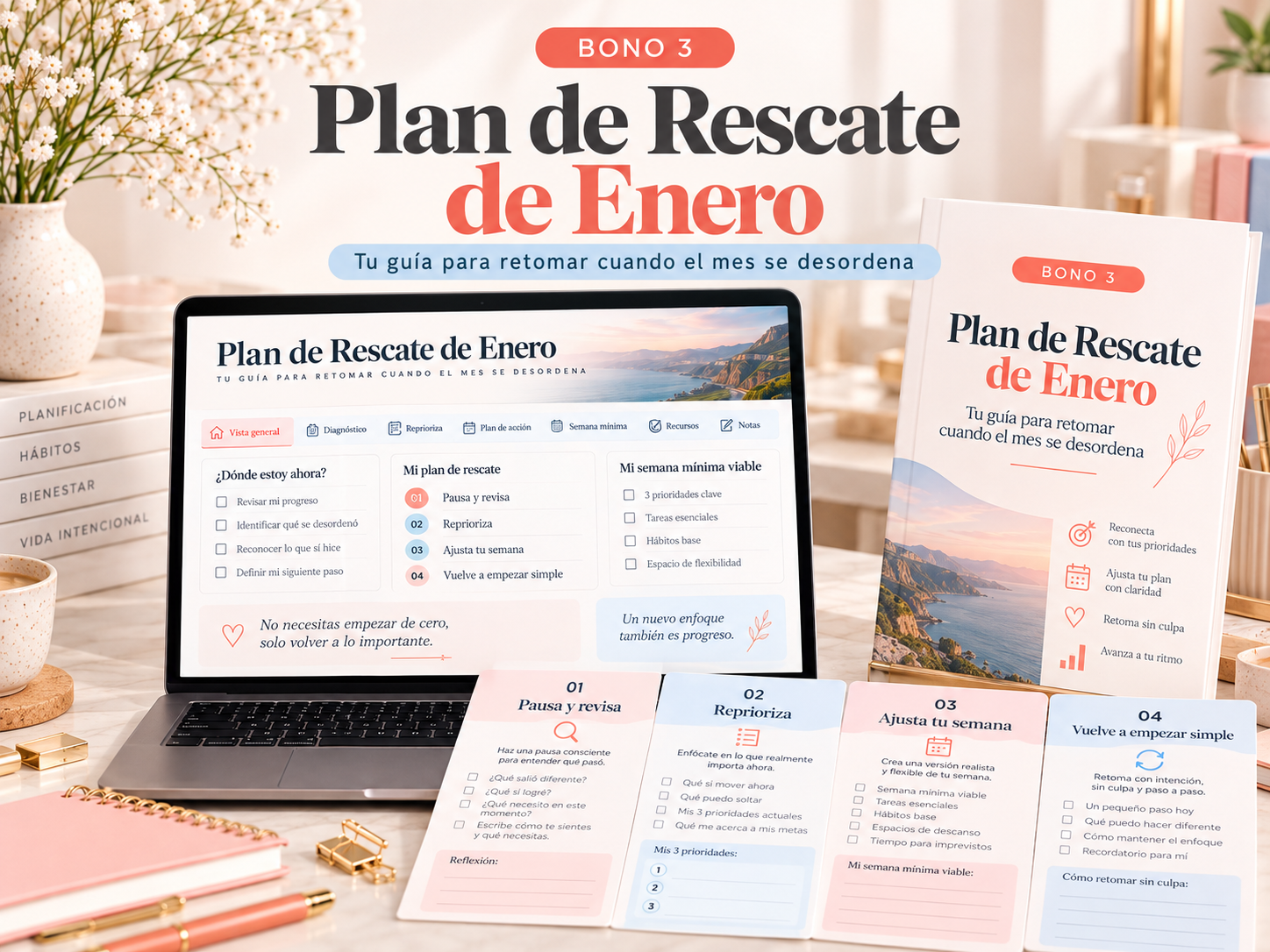 Plan de Rescate de Enero