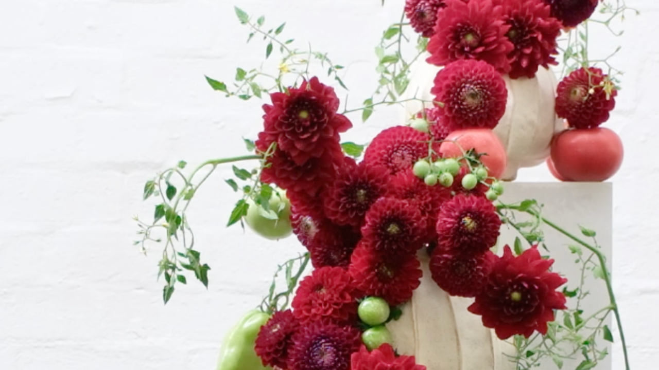 Sculptural floral installation with deep red dahlias, red and green tomatoes, peppers and trailing tomato vines arranged over white plinths.