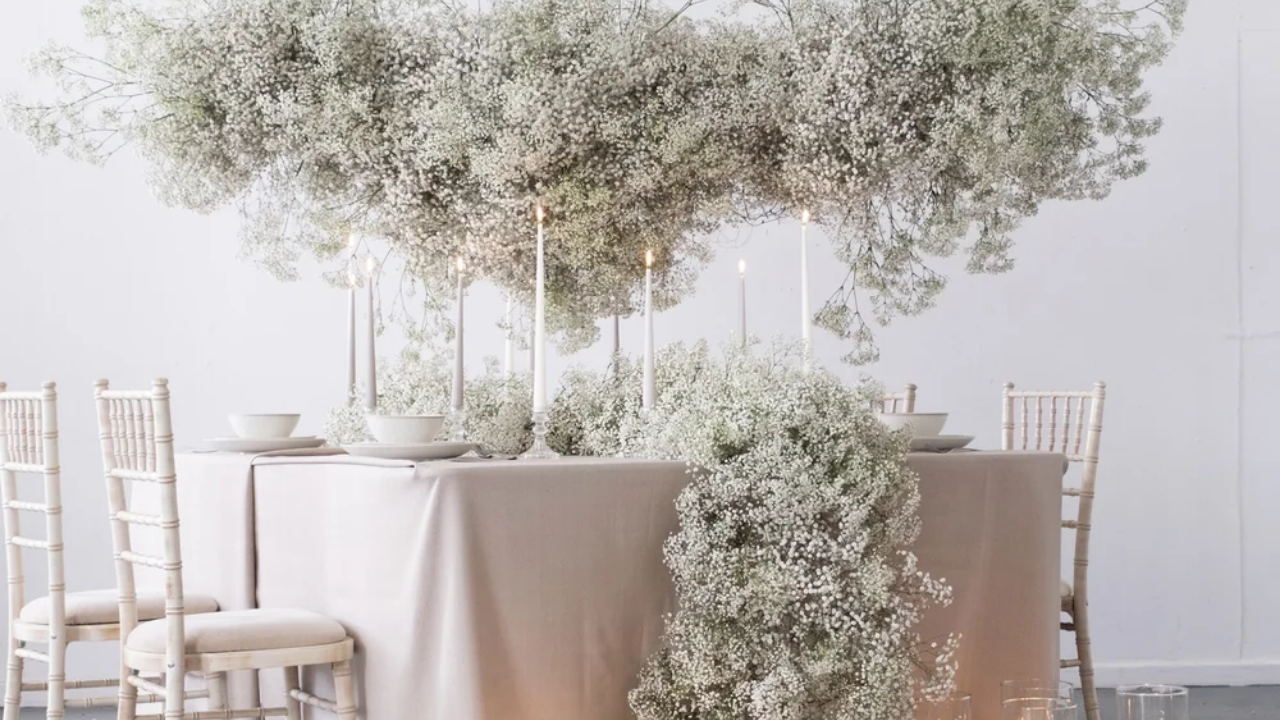 The Gypsophila Cloud Installation