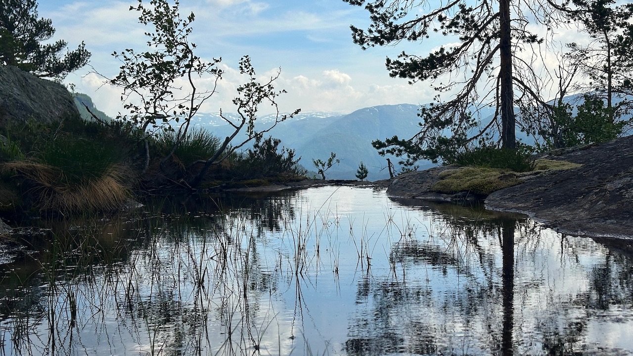 sommerhilsen