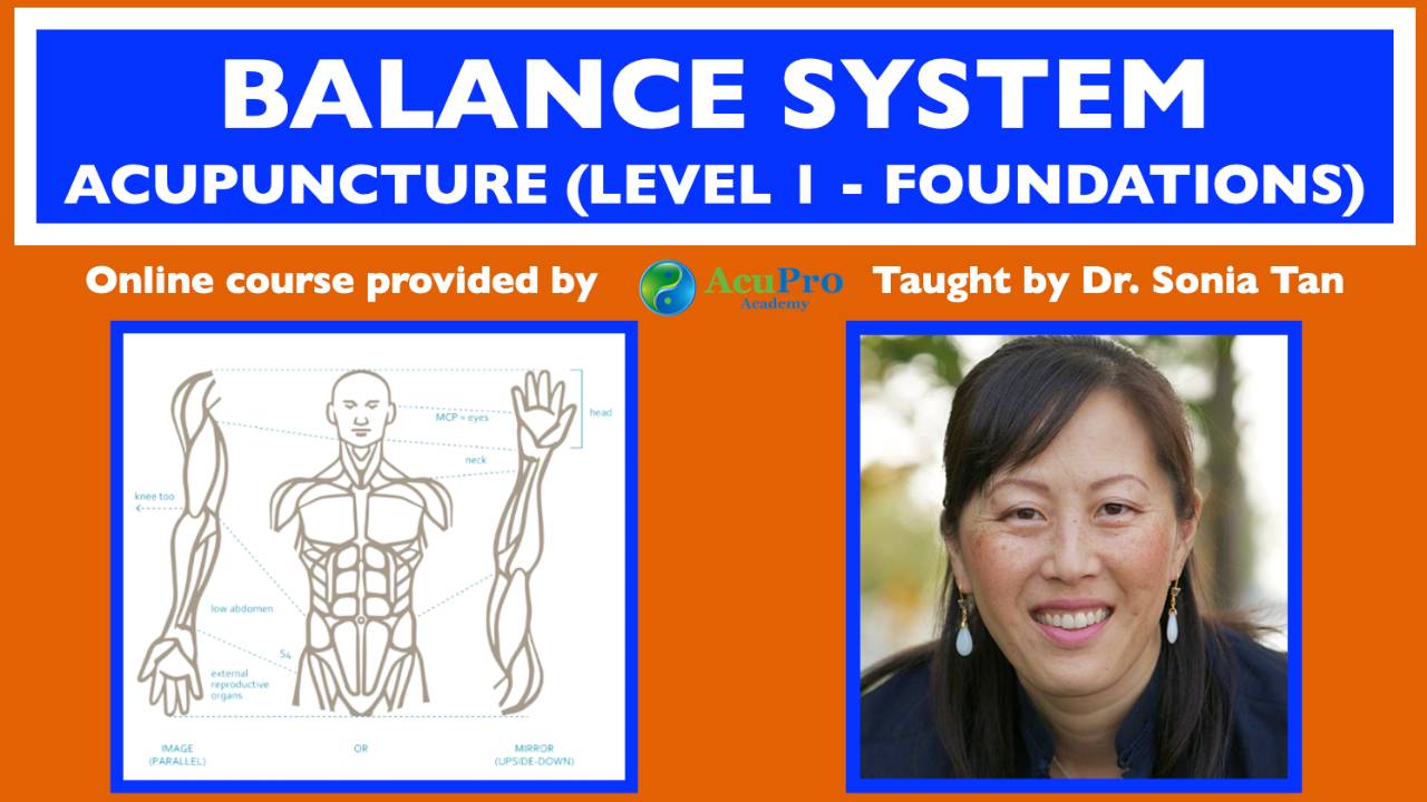 Balance Acupuncture Foundations Level 1 Course