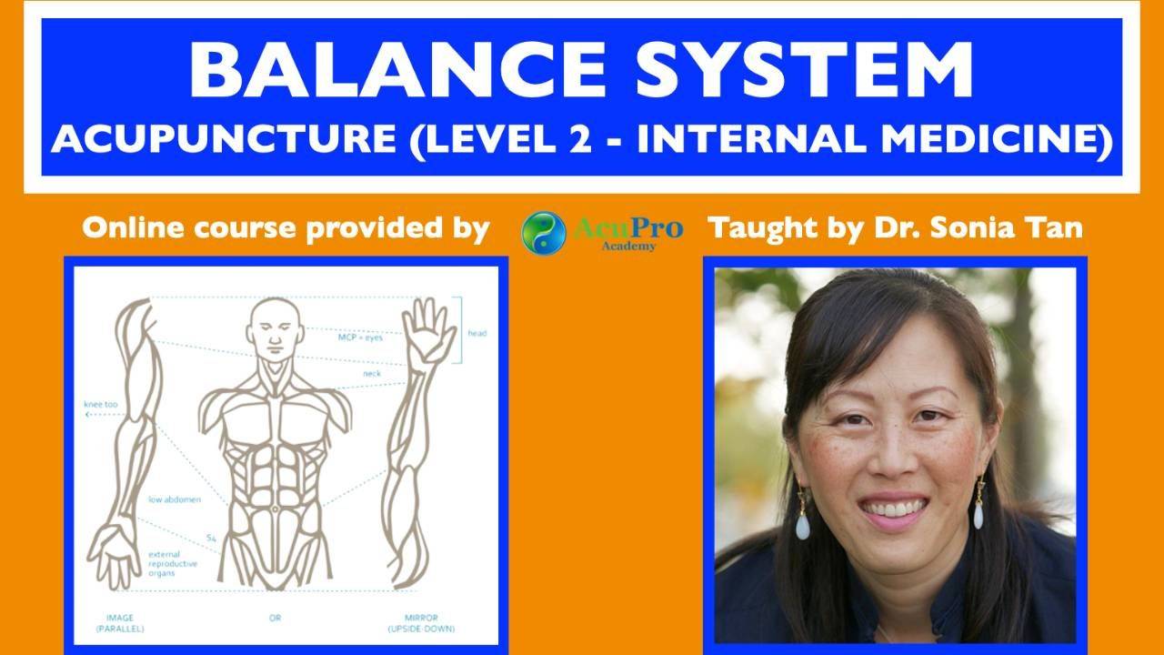 Balance Acupuncture Foundations Level 2 Course