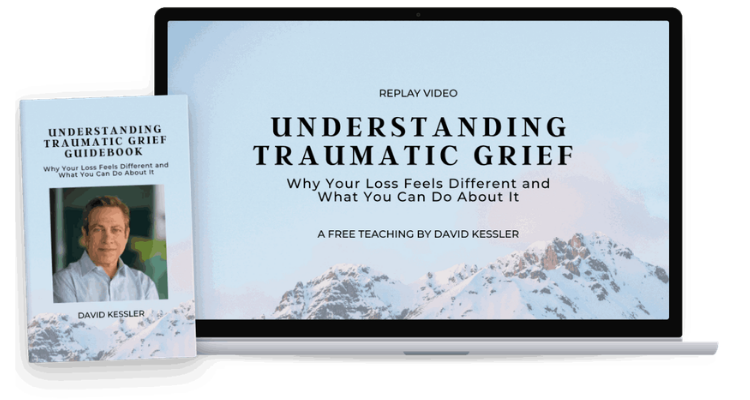 Understanding Traumatic Grief — Replay Video and Free Guidebook by David Kessler