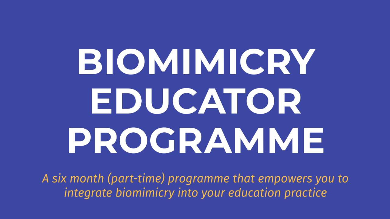 Biomimicry Educator Programme