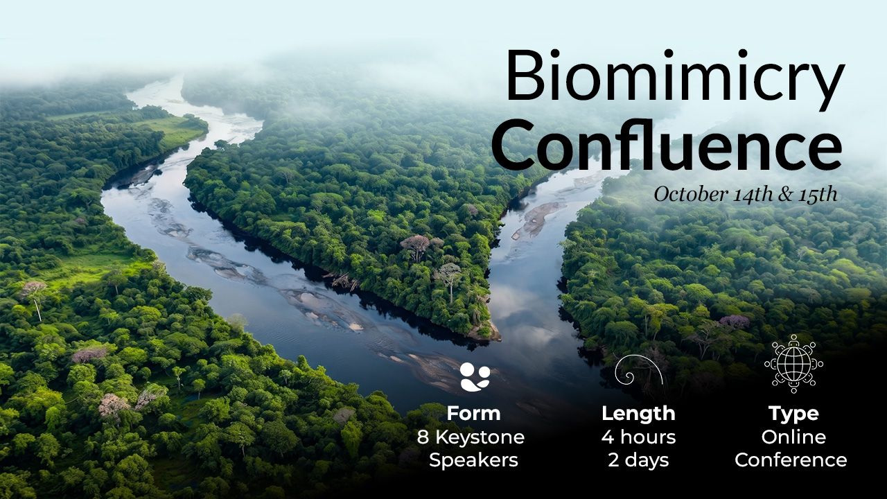 The Biomimicry Confluence - online conference