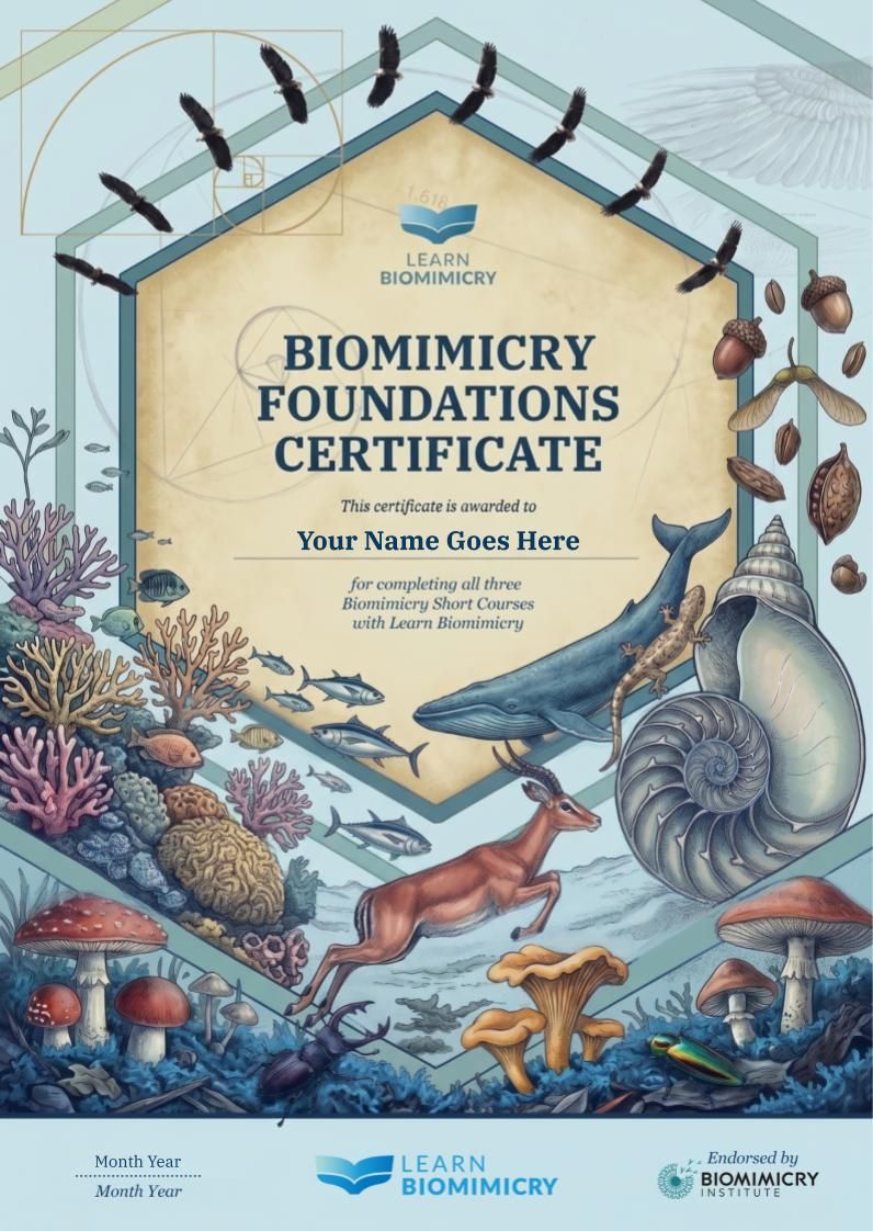 Biomimicry Course Certificate