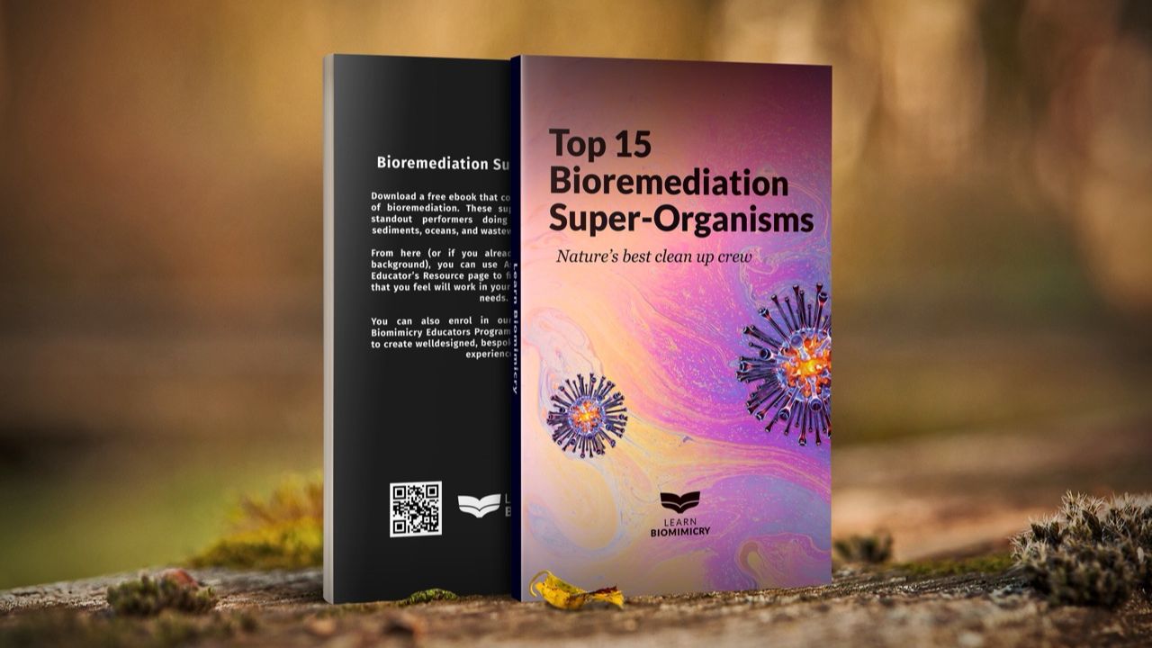 Biomimicry ebook - free offer