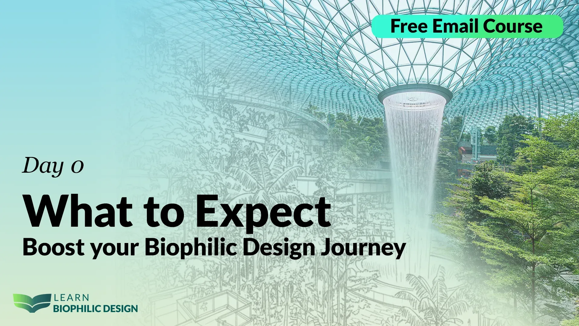 The 3 seeds of biomimicry