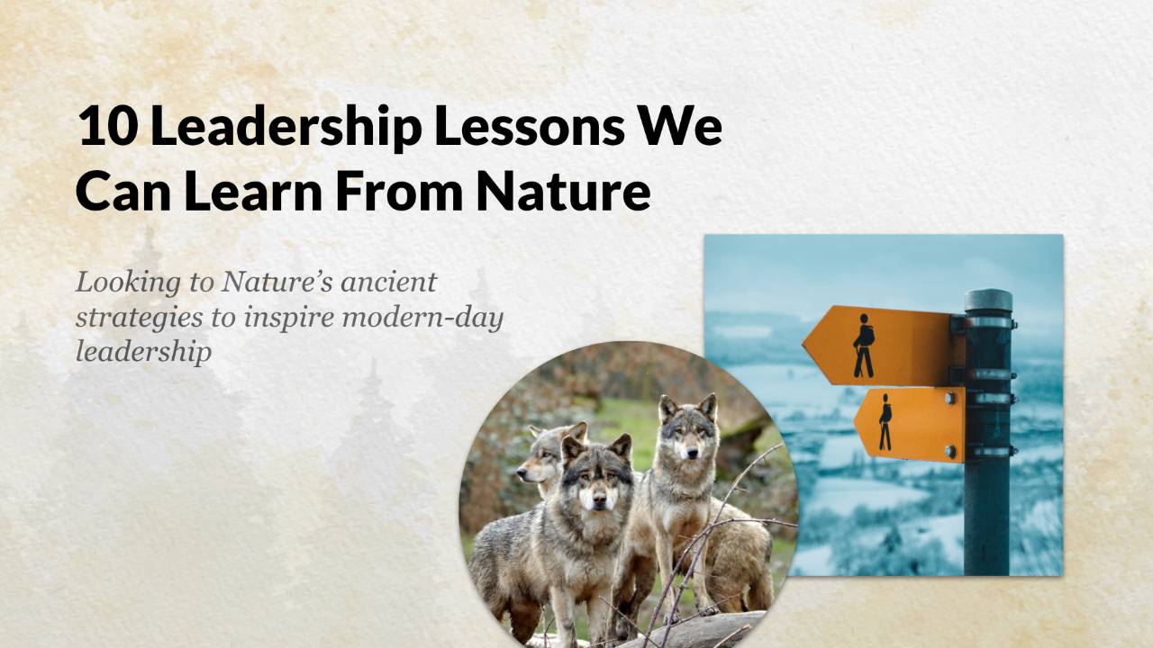 10 Leadership Lessons We Can Learn From Nature