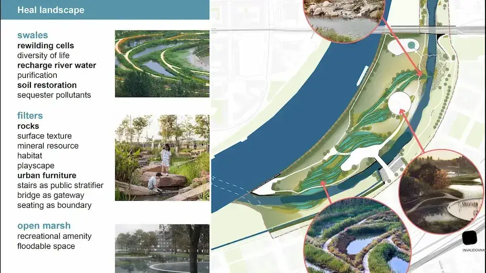 Biomimicry Practitioner Projects