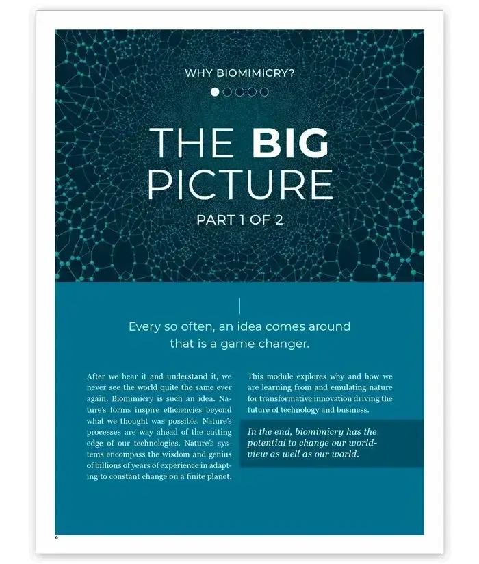 Introduction to Biomimicry Handbook