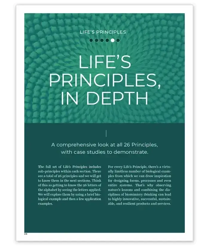 The Biomimicry Life's Principles Short Course