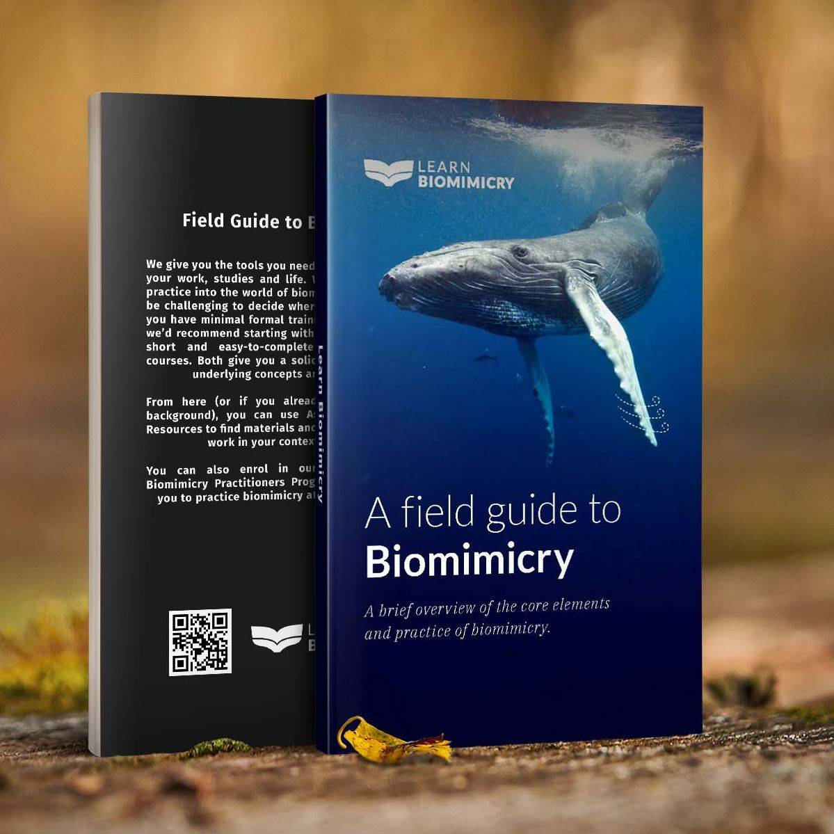 Biomimicry ebook - free offer