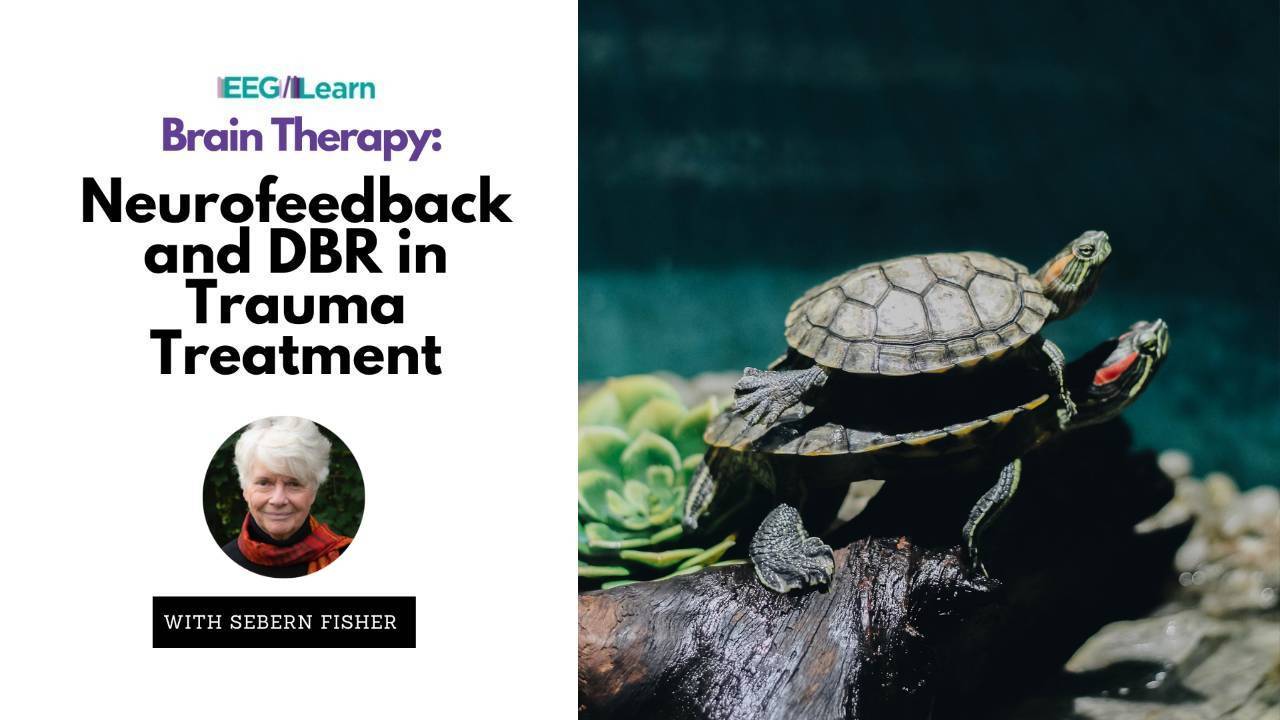 Brain Therapy: Neurofeedback & DBR in Trauma Treatment