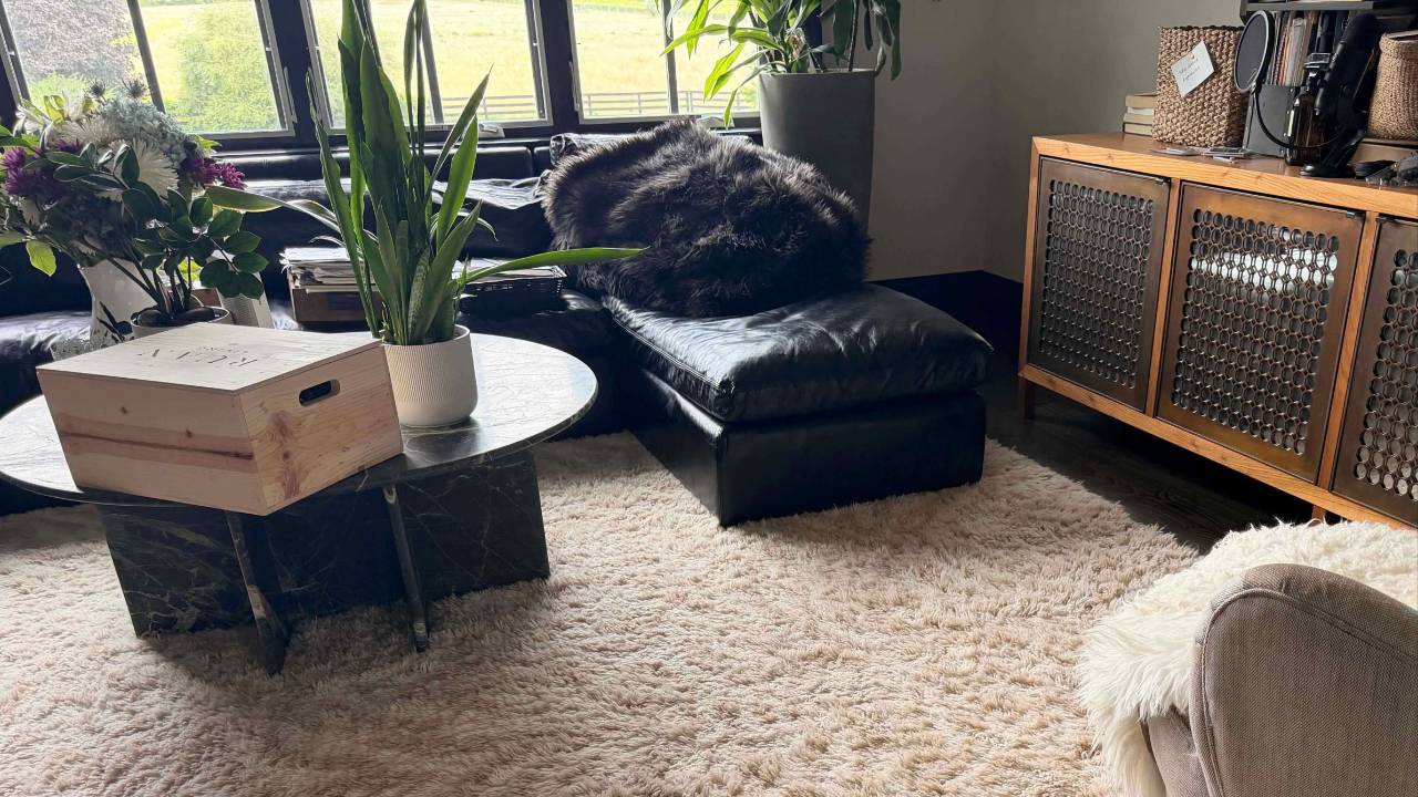 Sophia Ruan Gushee's home office with a large cream-colored shag rug found to contain mold after water damage.