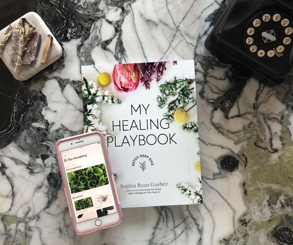 My Healing Playbook by Sophia Ruan Gushee