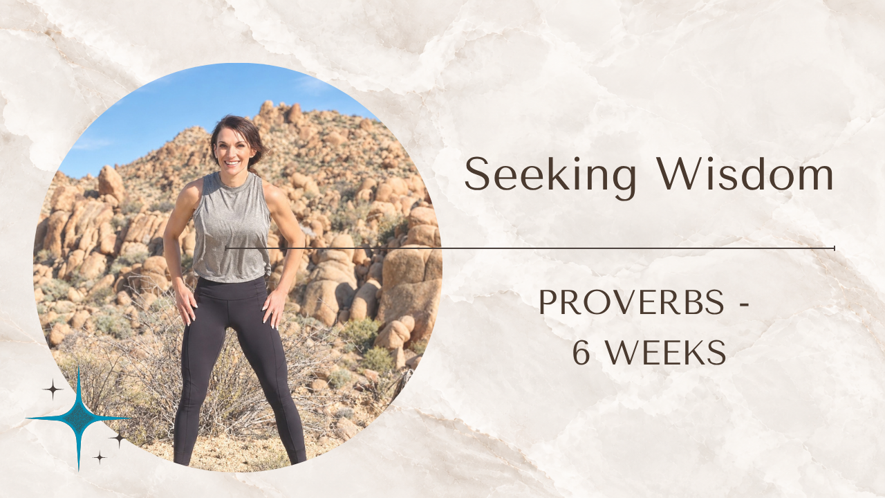 Seeking Wisdom program