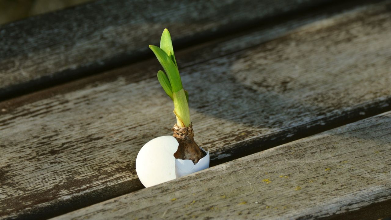 overcoming adversity