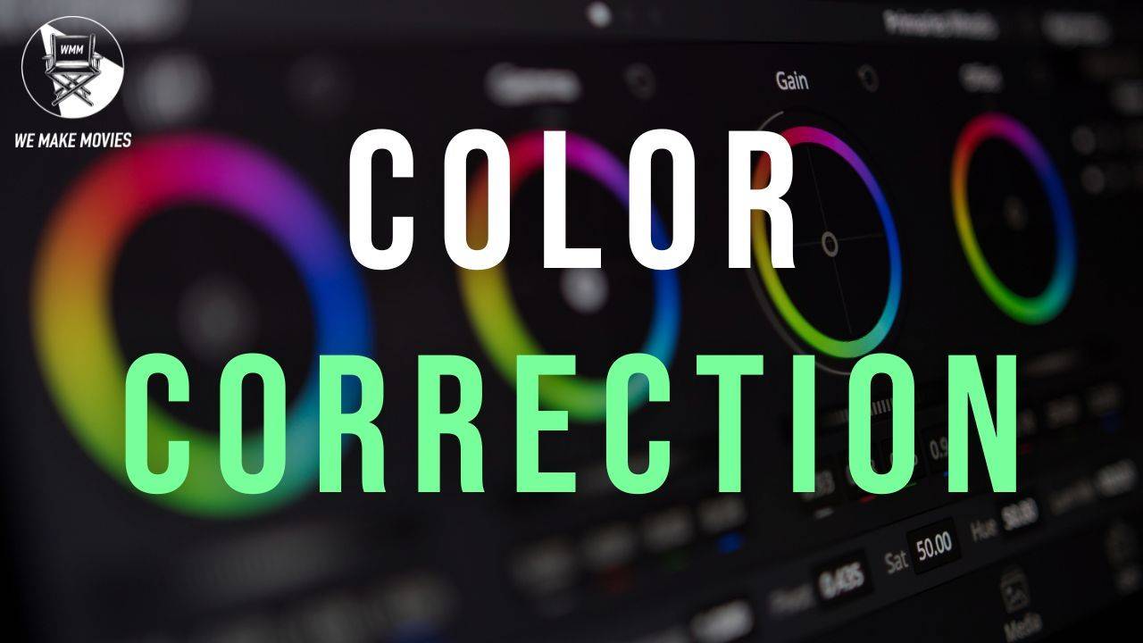 Wmm Color WMM Color Correction and Grading Intake Form