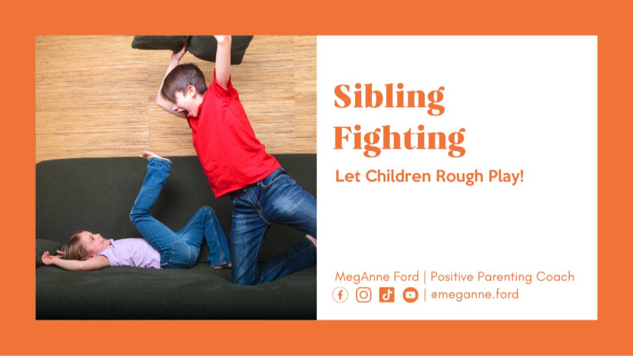 Sibling Fighting Let Children Rough Play!