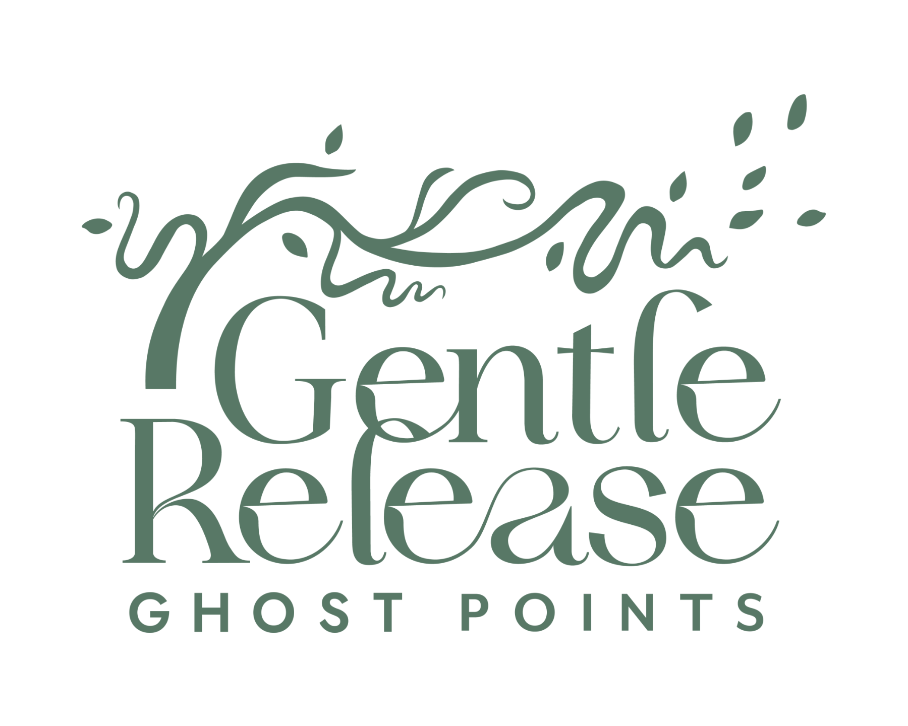 Ghost Points