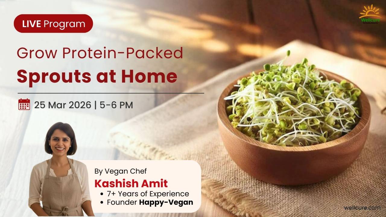 Sprouts Foraging Program Grow Protein-packed Sprouts at Home LIVE Program