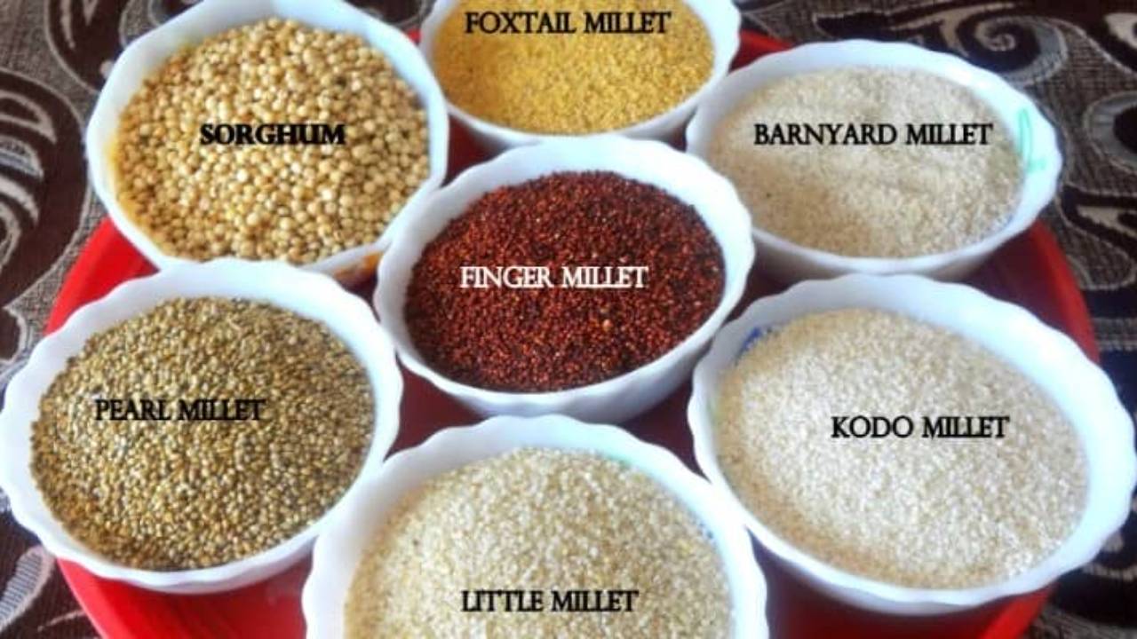 Curious about millets? - Here's why you should eat them