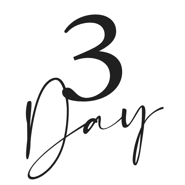 Day 3