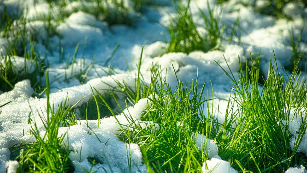 A Hymn for Melting Snow