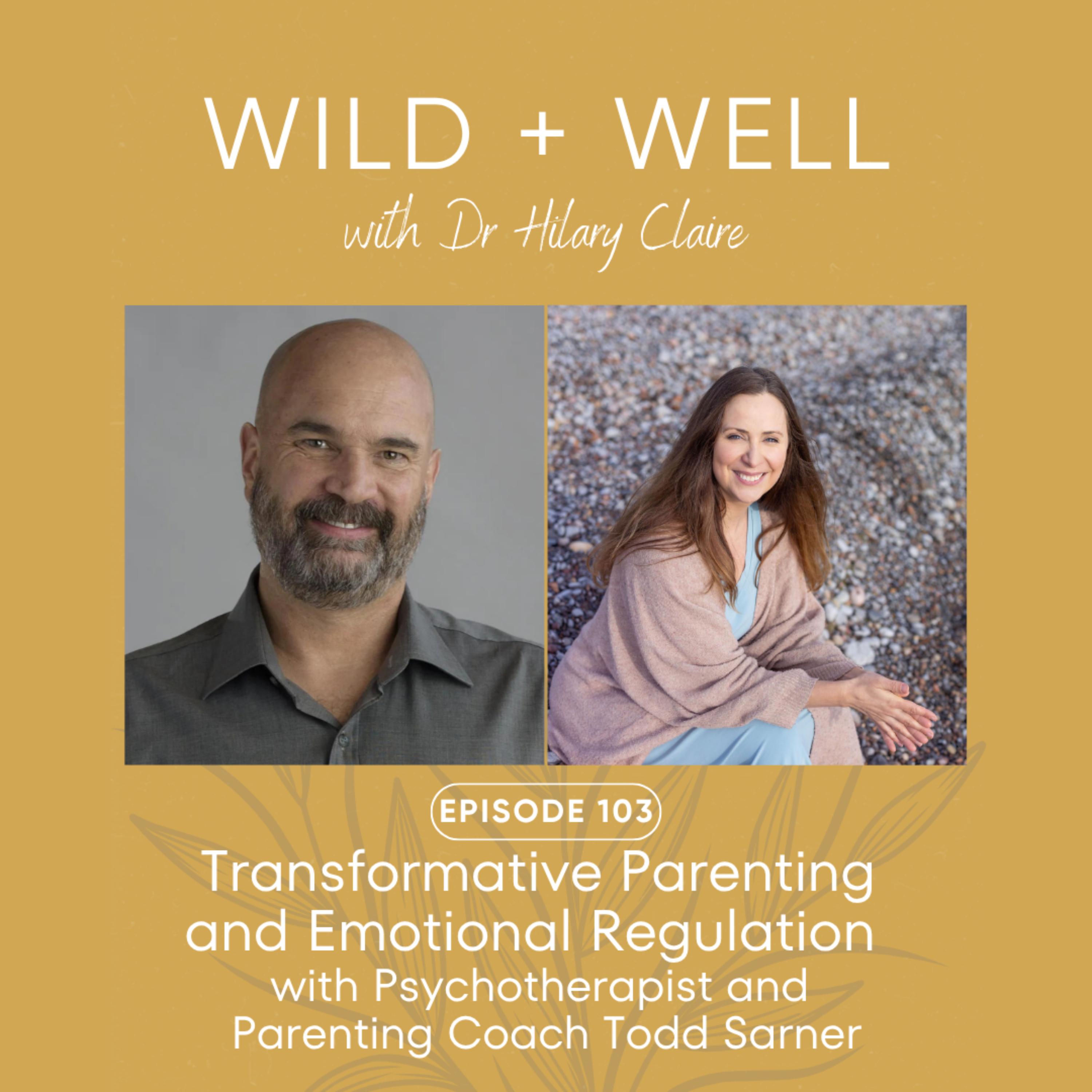 Play Transformative Parenting and Emotional Regulation with Psychotherapist and Parenting Coach Todd Sarner | Episode 103