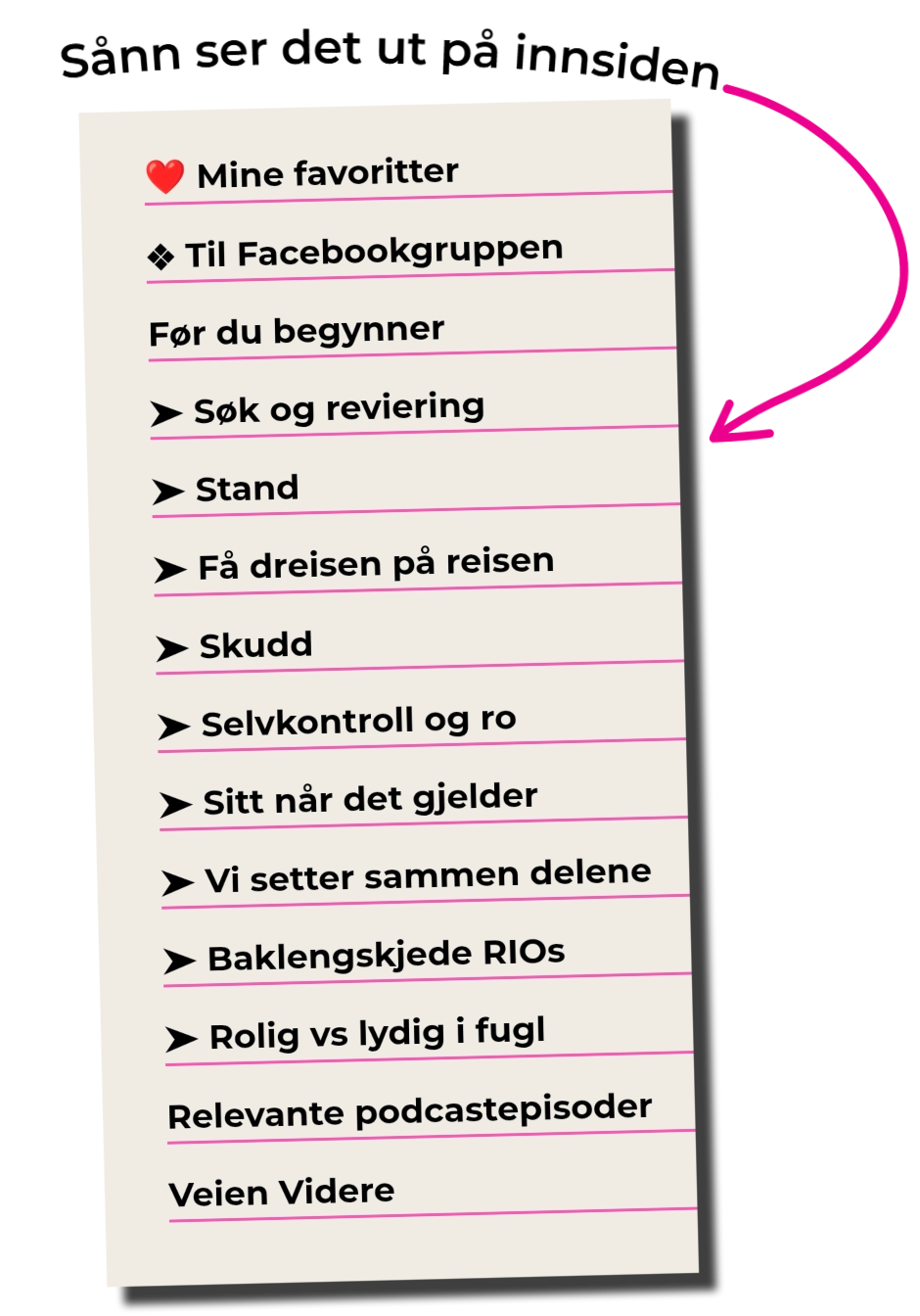Innhold i fuglehundtrening