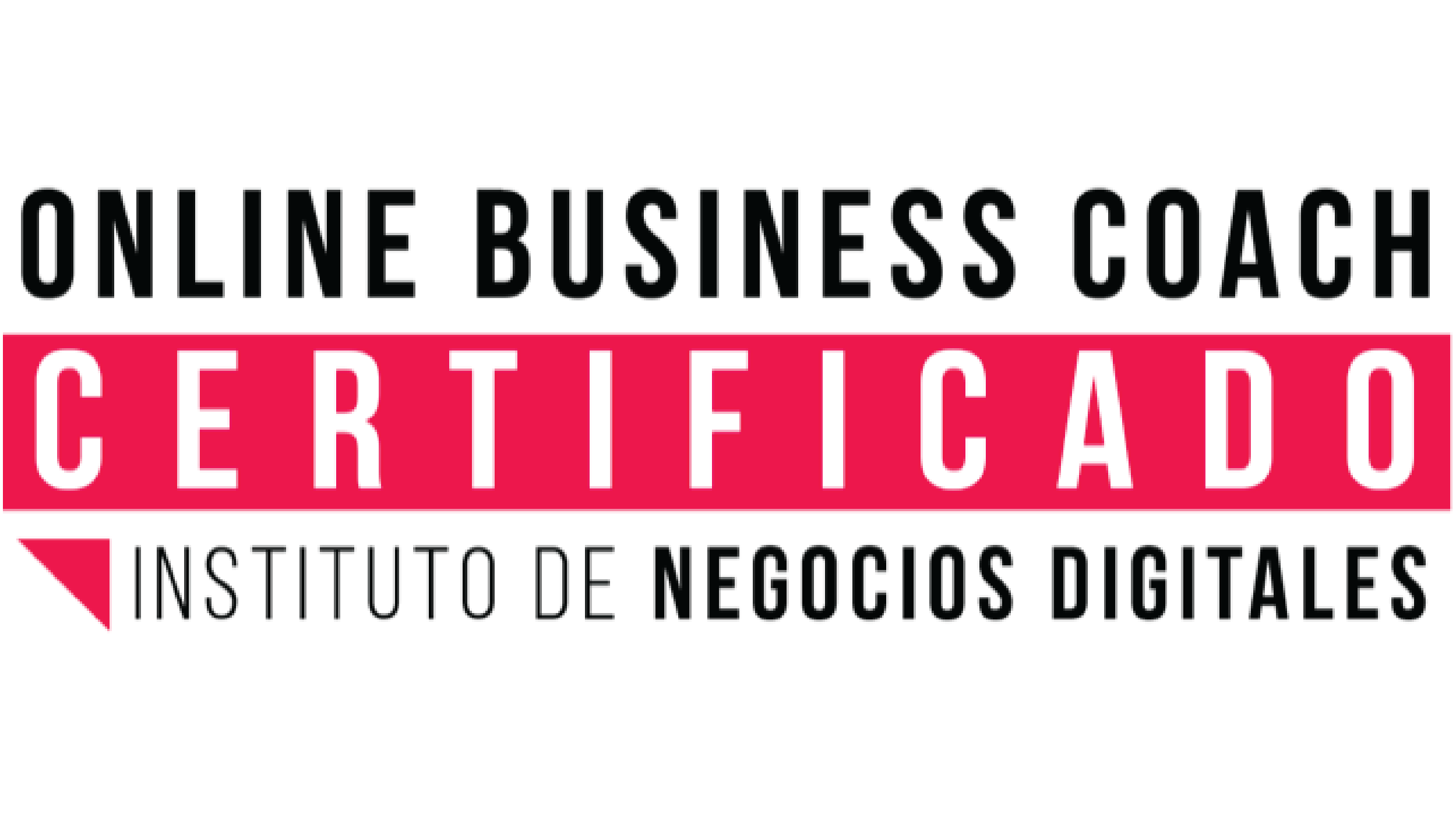 Online Business Coach, Instituto de Negocios Digitales certification