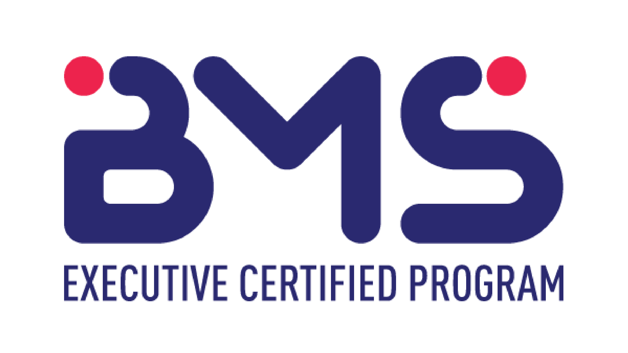 Business & Marketing Strategy, Florida Global University certification