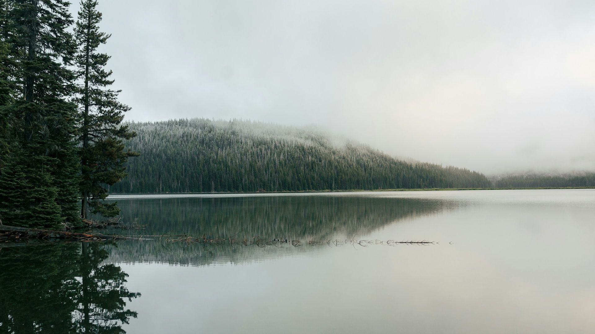 Lago calmo com reflexo perfeito da floresta e névoa na montanha — quietude que emerge sem ser forçada