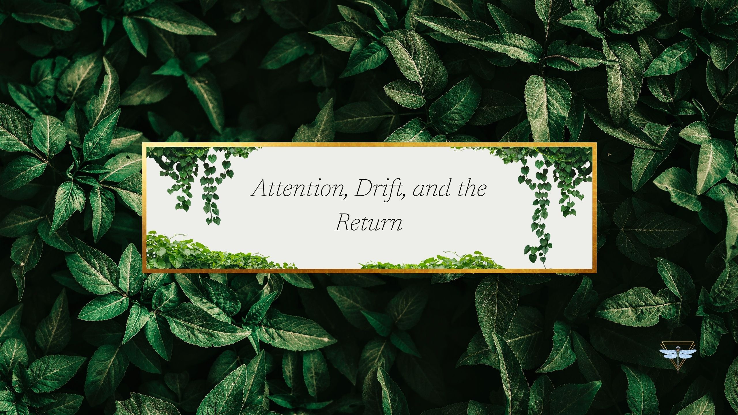 Returning to the Loop case study on attention, drift, and follow-through in the IQF Tracking System.