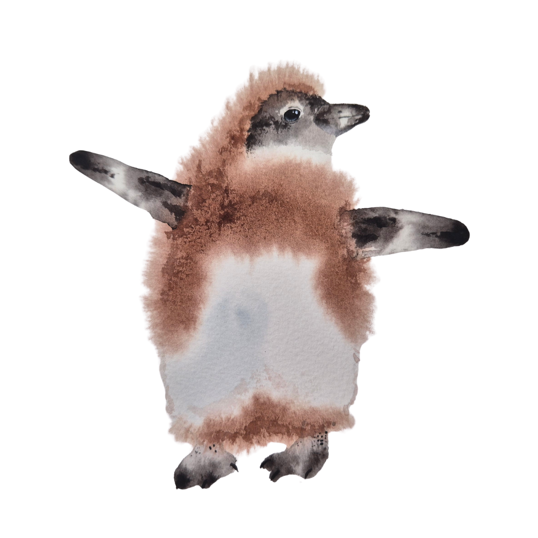Baby penguin