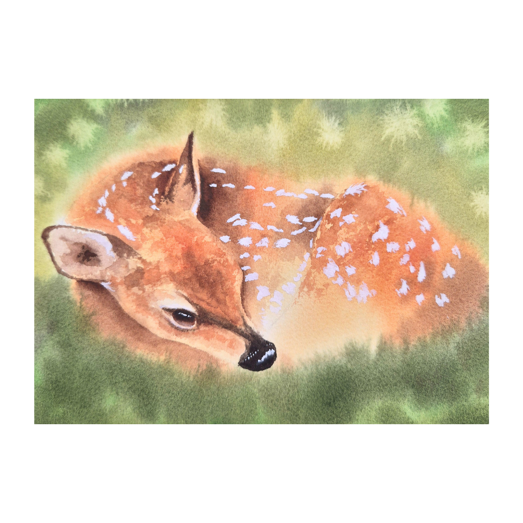 Fawn