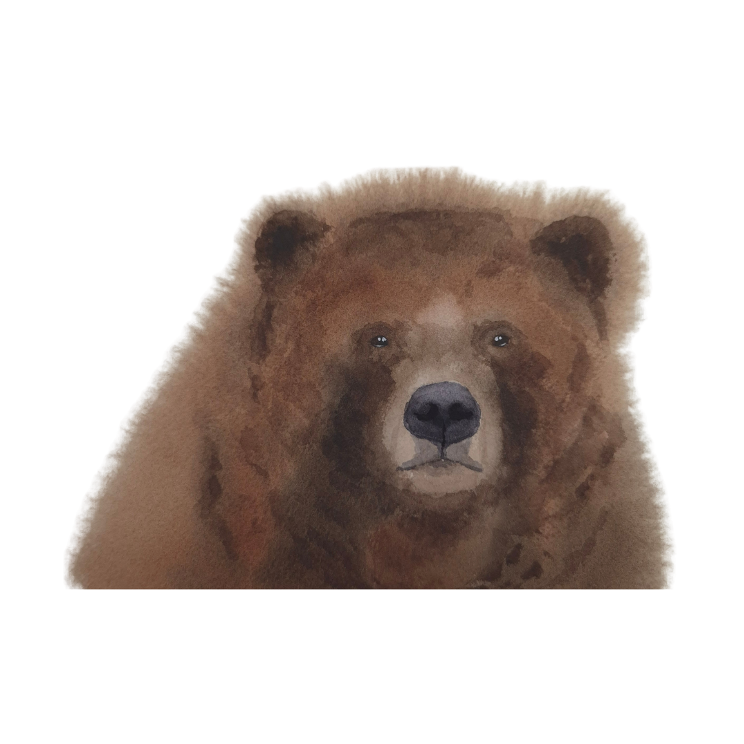 Grizzly bear