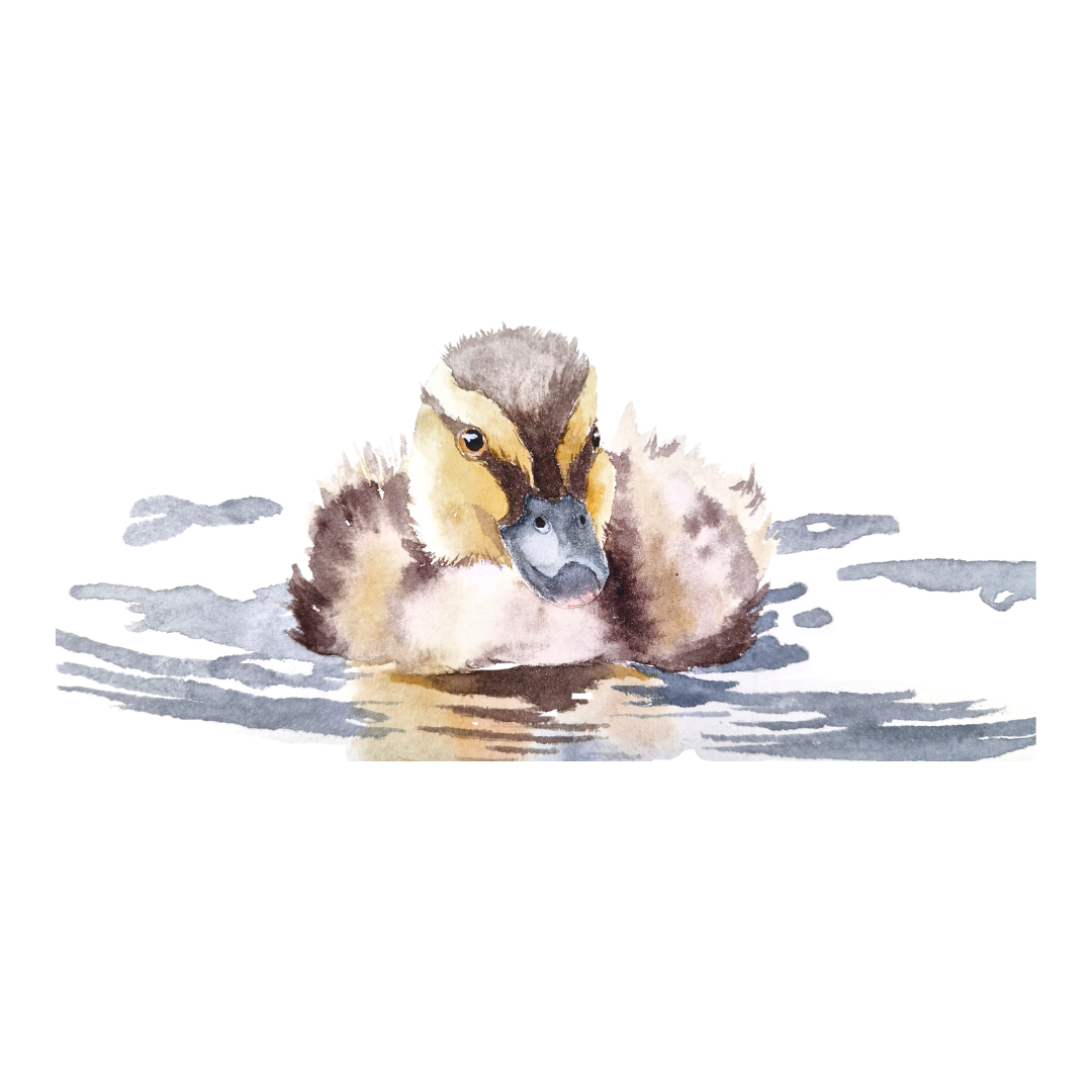 Duckling
