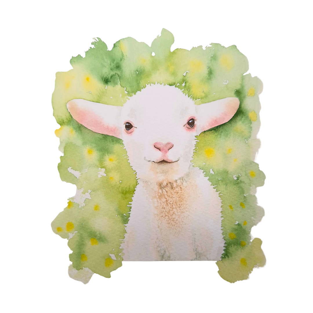 Lamb