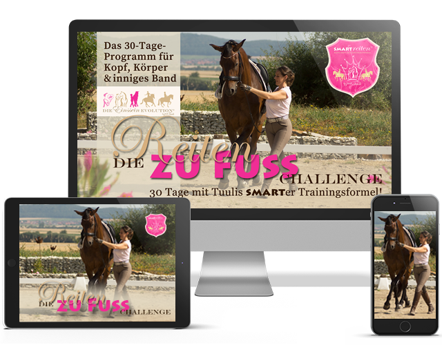 Lektionen SMART (vorbe-)reiten
