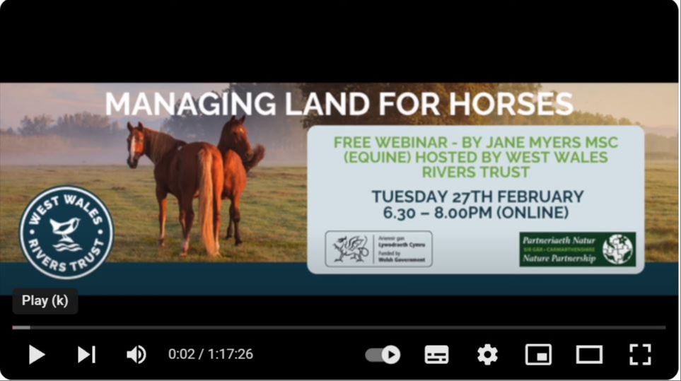 Webinar with West Wales Rivers Trust