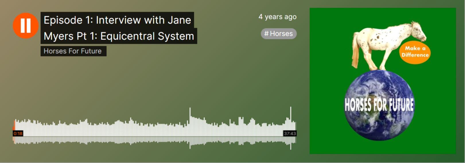 Interview with Horses for Future part 1